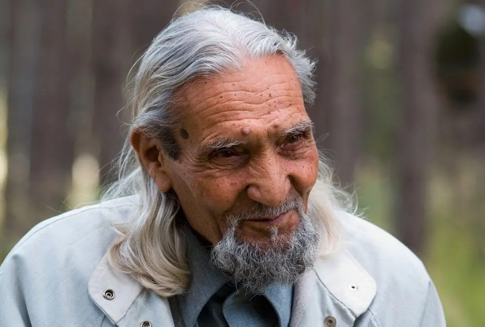 Ваклуш Толев, портрет