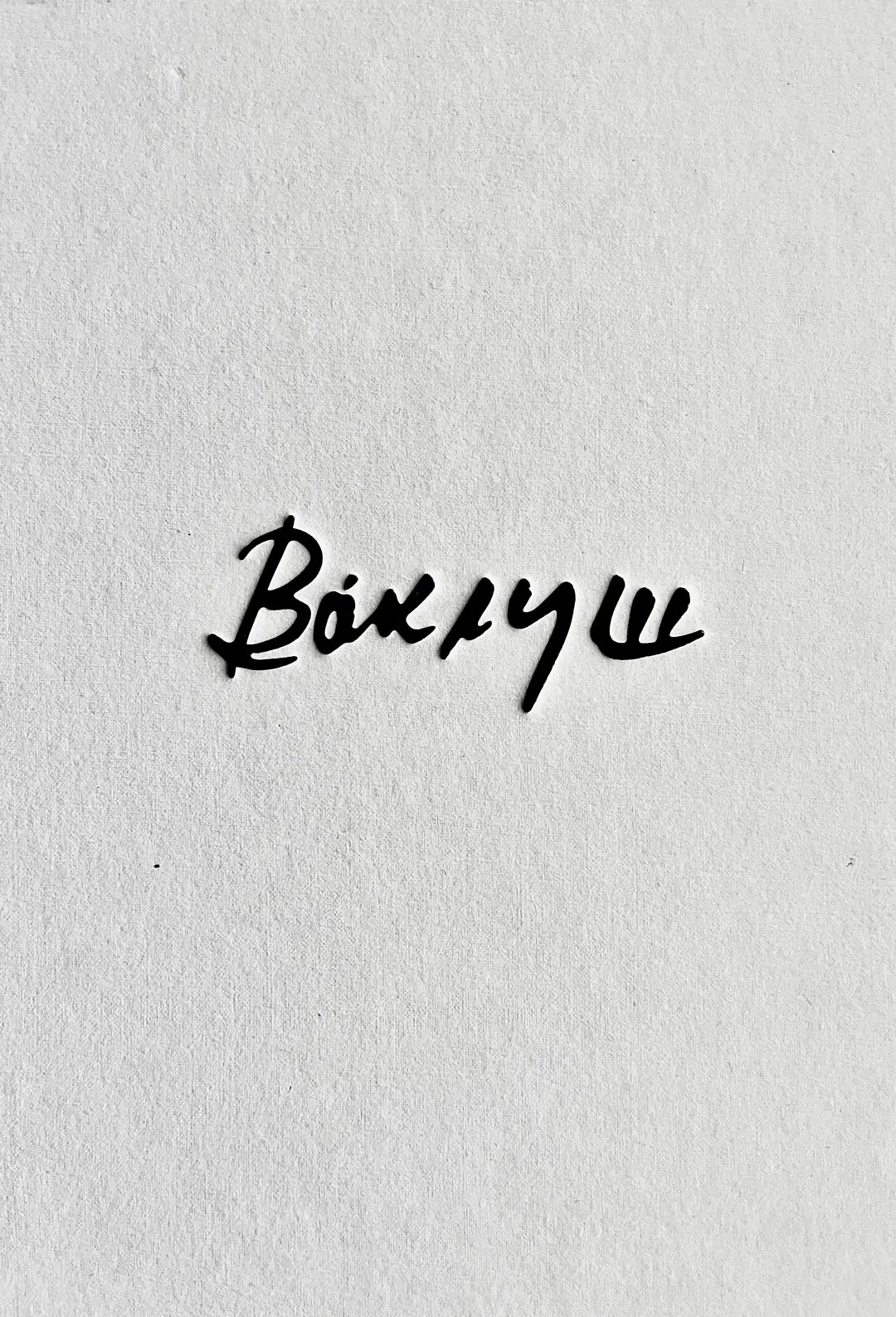 Албум "Ваклуш", корица